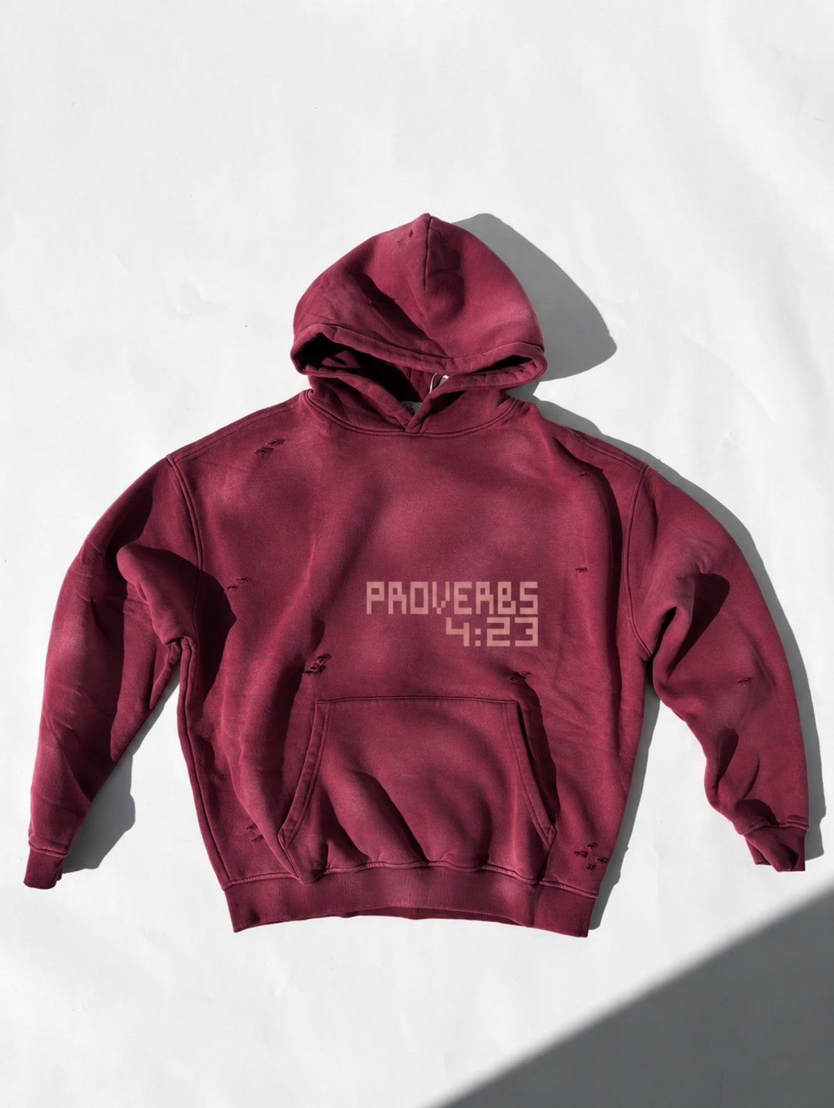 Proverbs 4:23 Unisex Hoodie