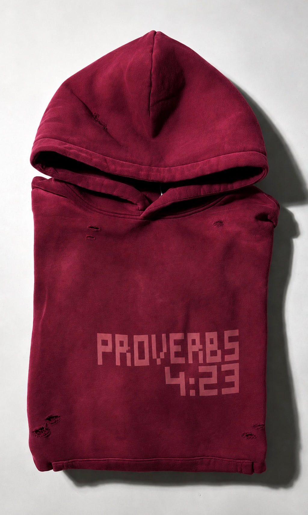 Proverbs 4:23 Unisex Hoodie